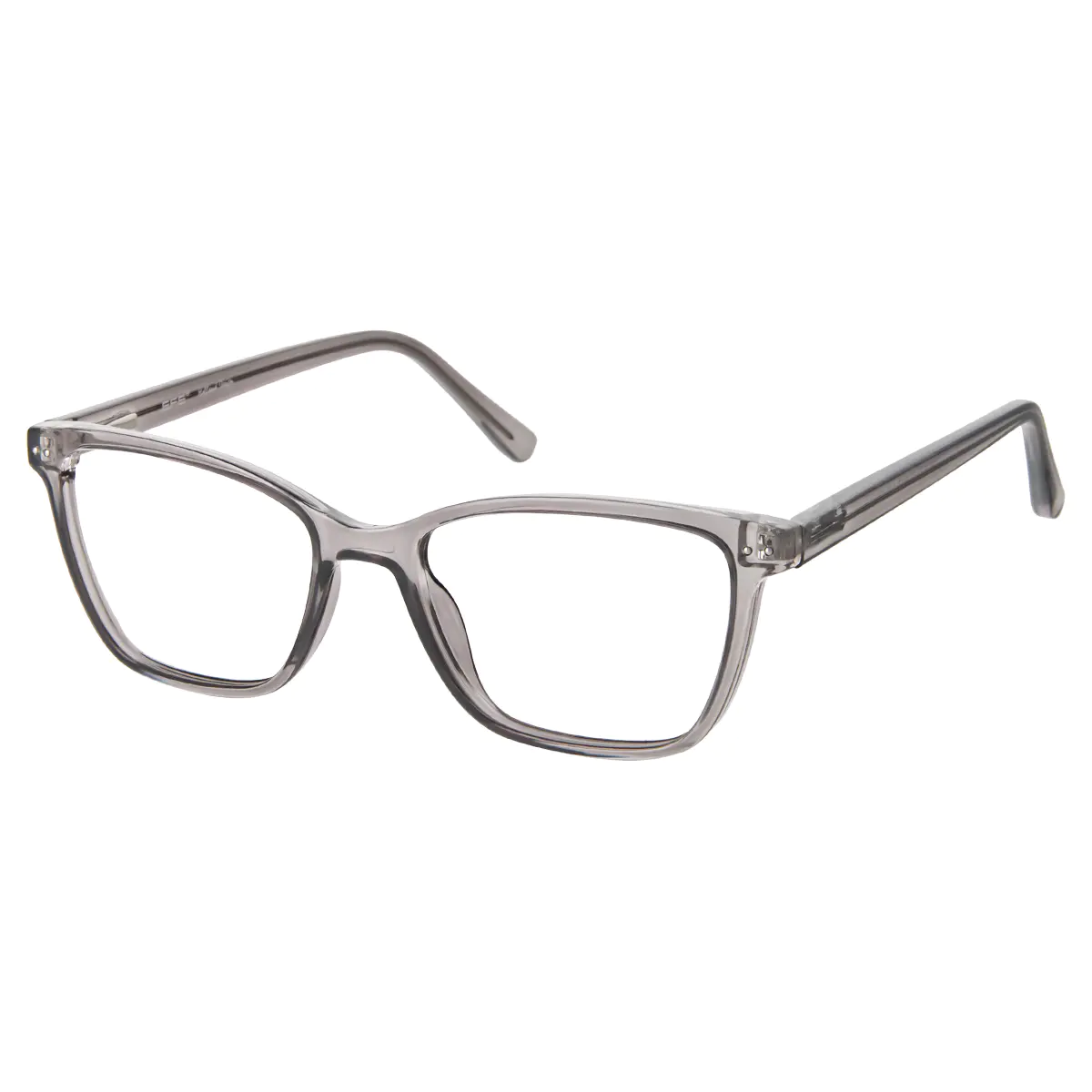 Rectangle Transparent Gray Eyeglasses
