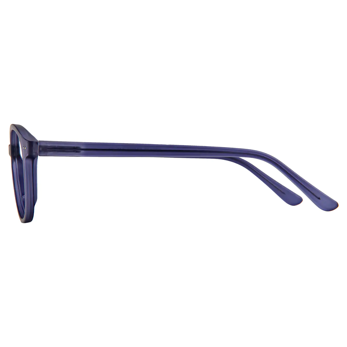 Round Transparent Purple Eyeglasses