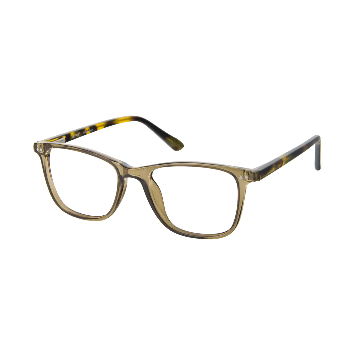 Rectangle Transparent Green Eyeglasses