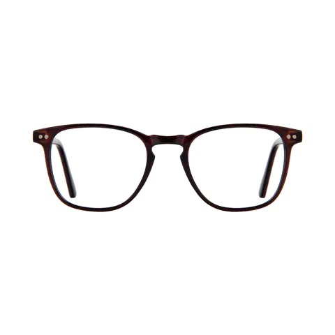 Rectangle Transparent Brown Eyeglasses