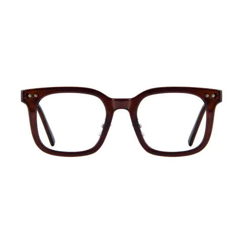 Square Brown Eyeglasses