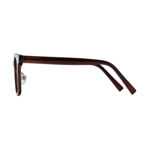 Square Brown Eyeglasses