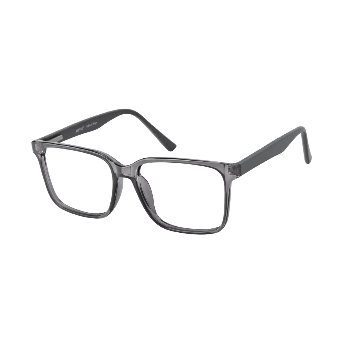 Square Transparent Gray Eyeglasses
