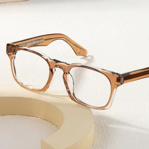 Rectangle Transparent Brown Eyeglasses