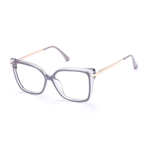 Square Transparent Gray Eyeglasses