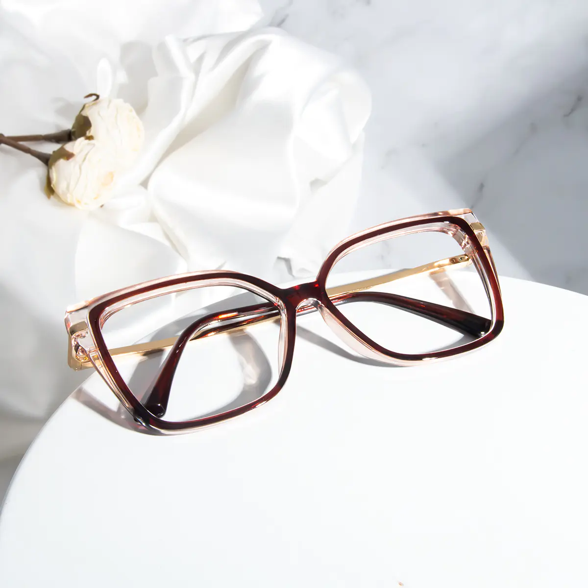 Square Transparent Purple/Brown Eyeglasses