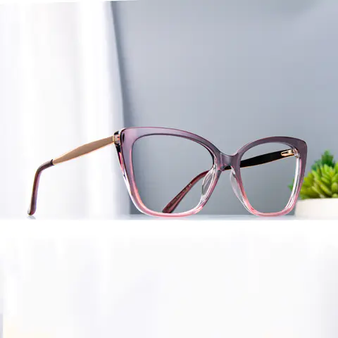 Square Brown/Transparent Pink Eyeglasses