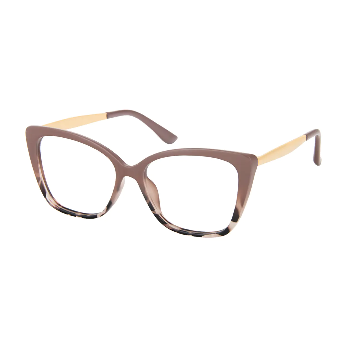Square Brown/Tortoiseshell Eyeglasses