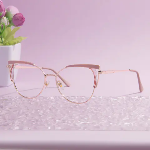 Browline Transparent Brown Eyeglasses