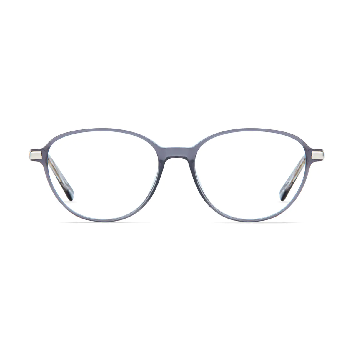 Round Transparent Gray Eyeglasses