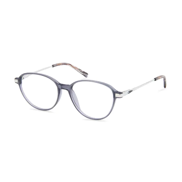 Round Transparent Gray Eyeglasses