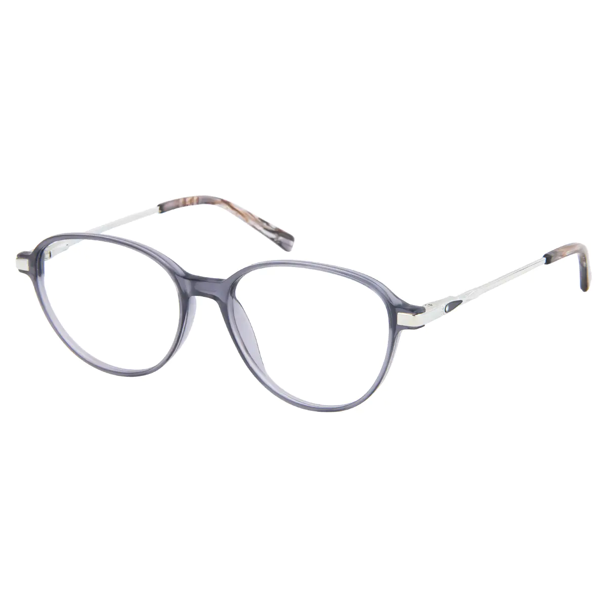 Round Transparent Gray Eyeglasses