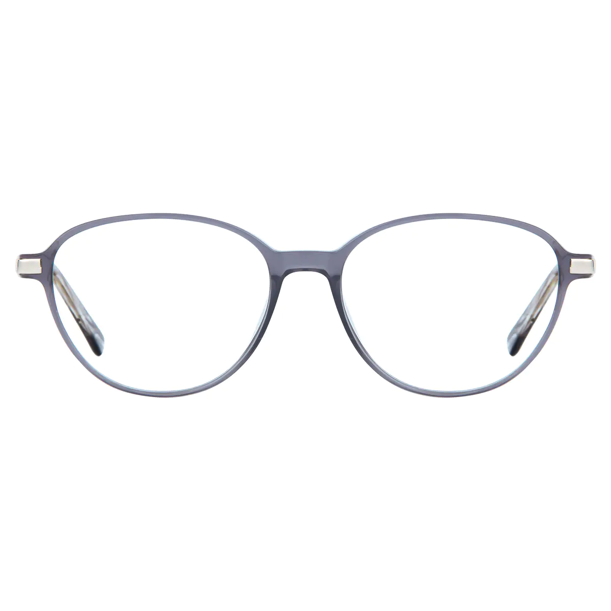 Round Transparent Gray Eyeglasses