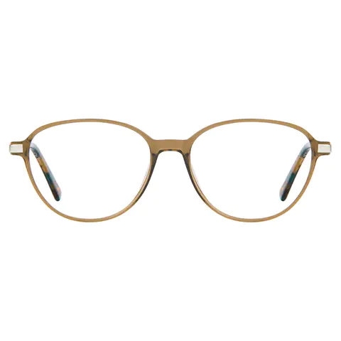 Round Transparent Brown Eyeglasses