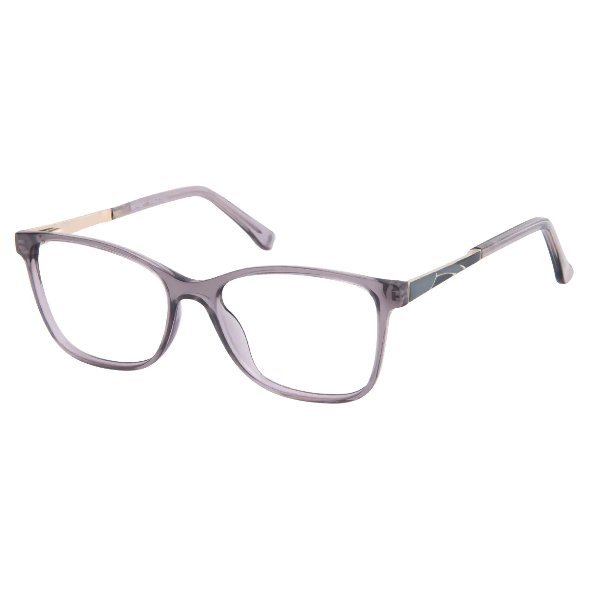 Rectangle Transparent Gray Eyeglasses