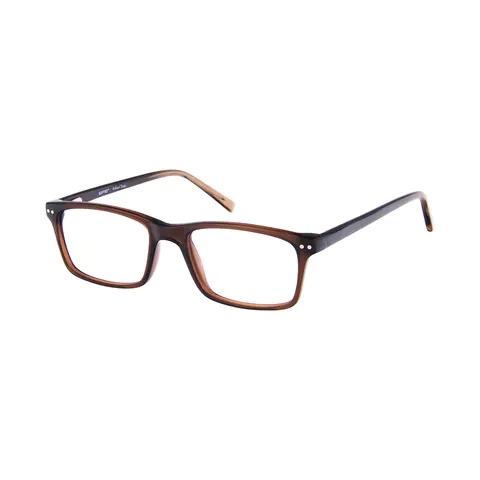 Rectangle Transparent Brown Eyeglasses