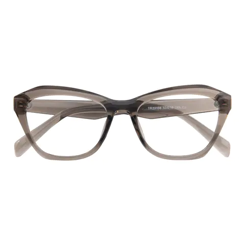 Cat-eye Transparent Gray Eyeglasses