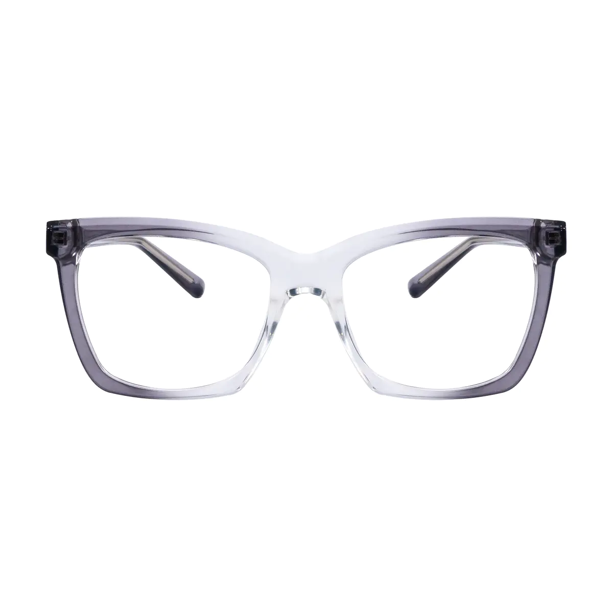 Transparent Gray Trendy