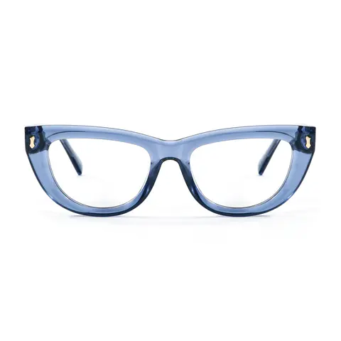 Transparent Blue Oval