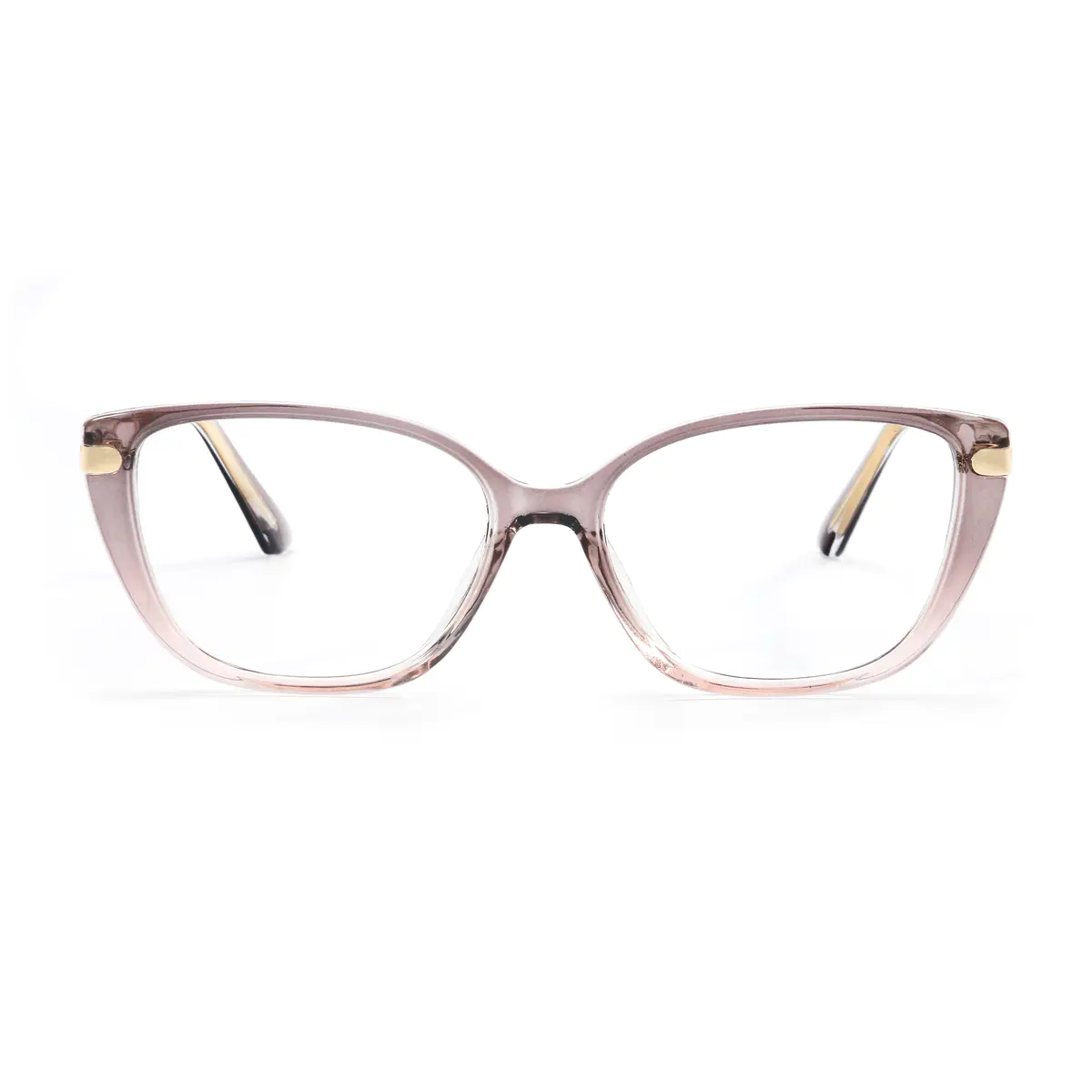 TR90 Metal Transparent