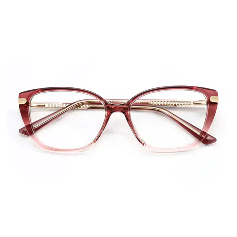 TR90 Metal Transparent