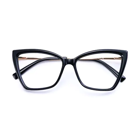 Chic Black Cat