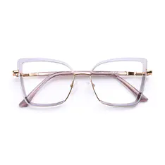 Square Transparent Gray Eyeglasses