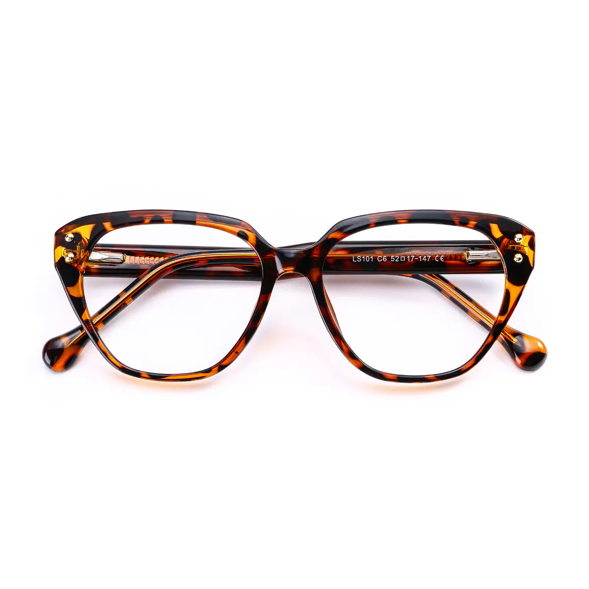 Classic Tortoiseshell Cat