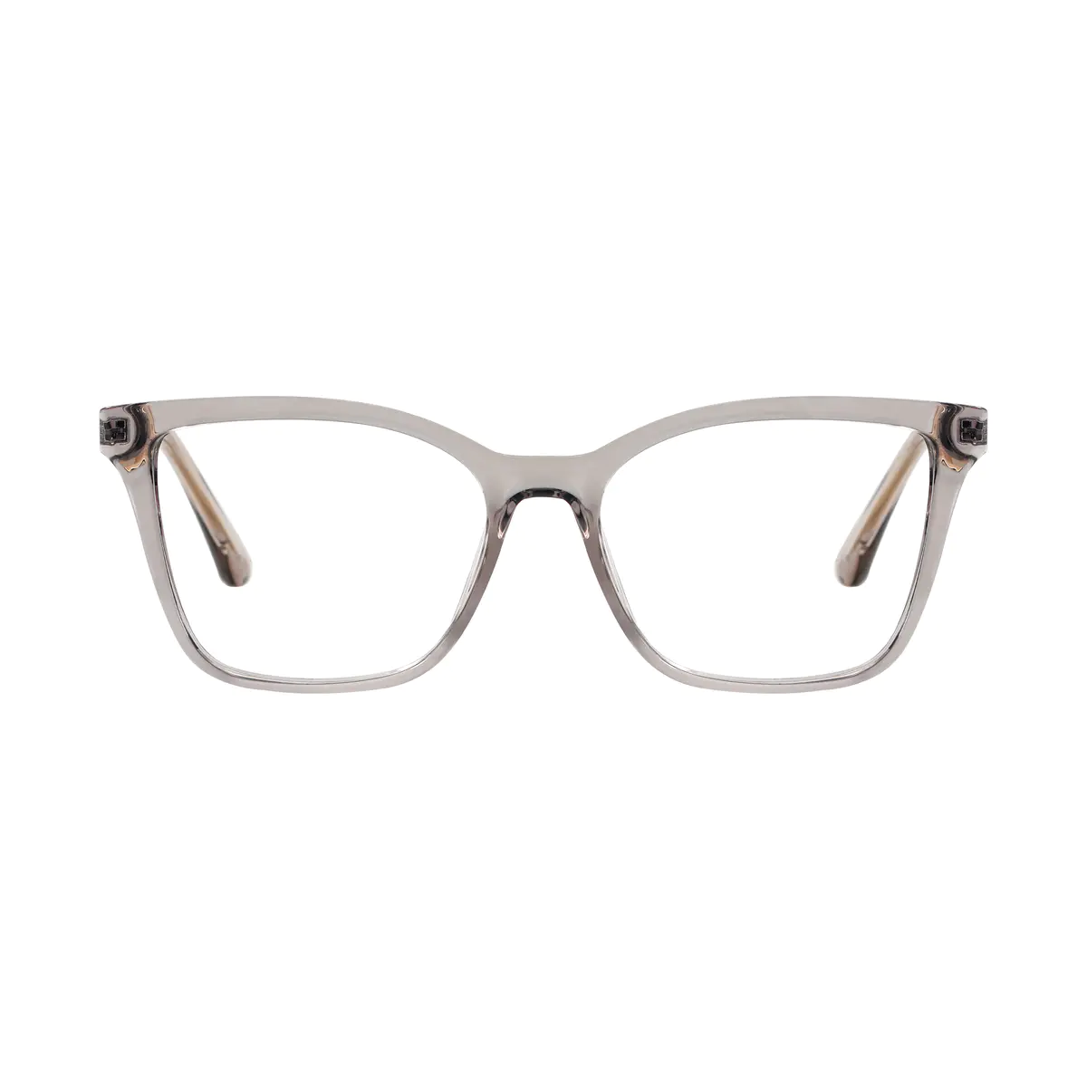Rectangle Transparent Gray