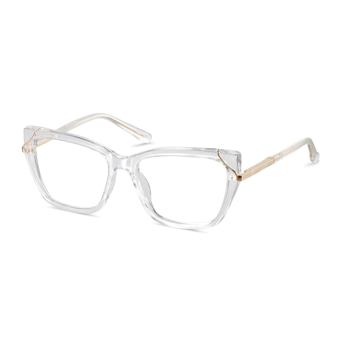Rectangle Clear Eyeglasses
