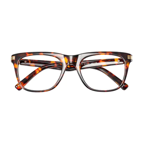 Rectangle Tortoiseshell Eyeglasses