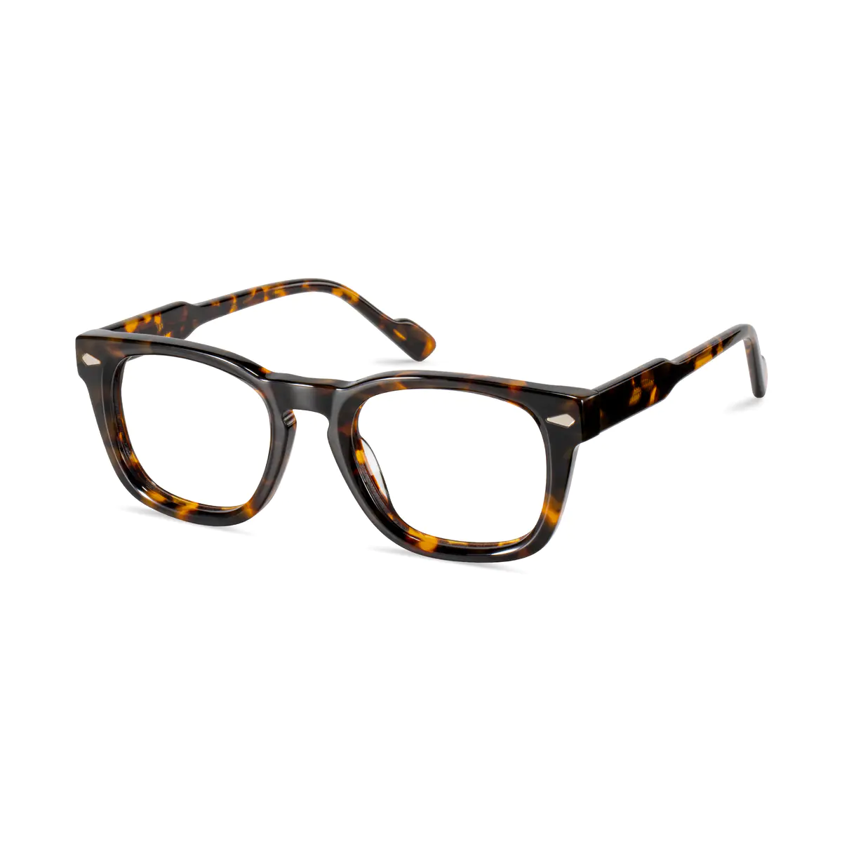 Oval Tortoiseshell Eyeglasses