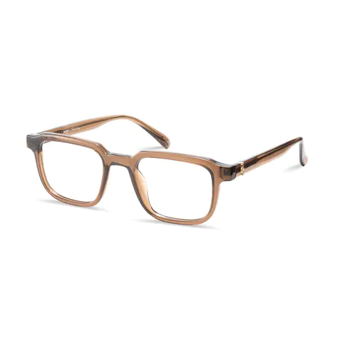 Square Brown Eyeglasses