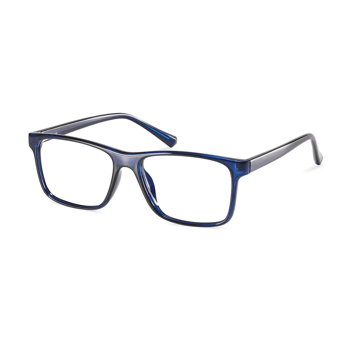 Rectangle Tortoiseshell/Blue Eyeglasses