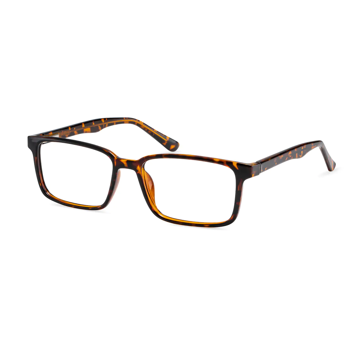 Rectangle Tortoiseshell Eyeglasses