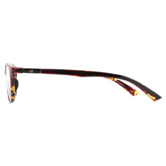 Oval Tortoiseshell Reading Glasses