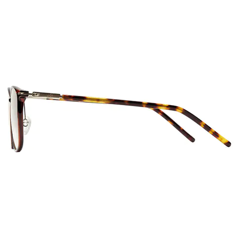 Square Tortoiseshell Reading Glasses