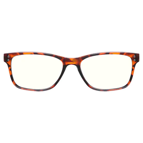 Rectangle Tortoiseshell Reading Glasses