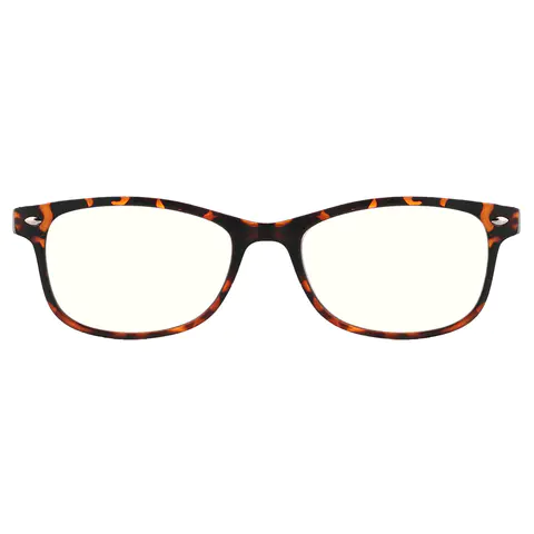 Oval Tortoiseshell Reading Glasses